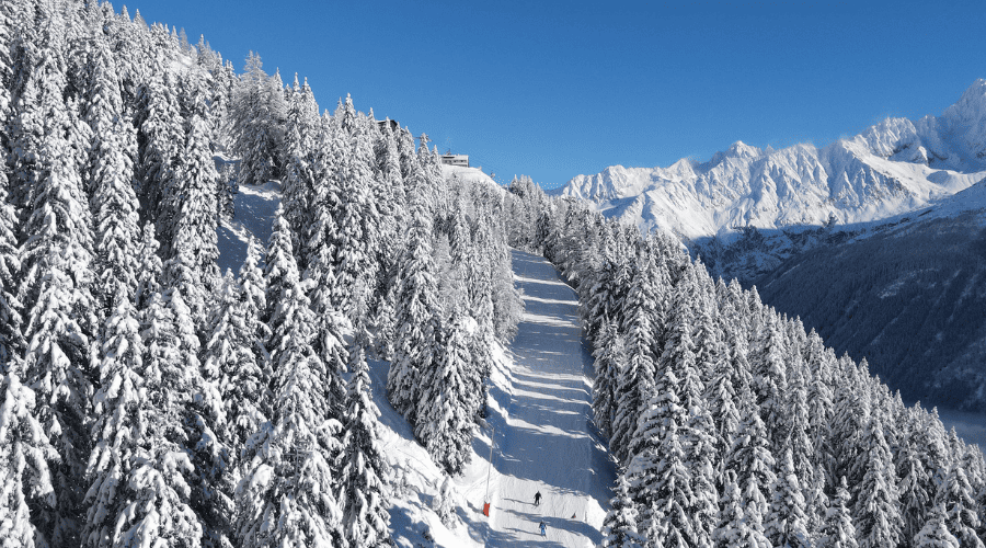 FLG_Hiver_Sapins
